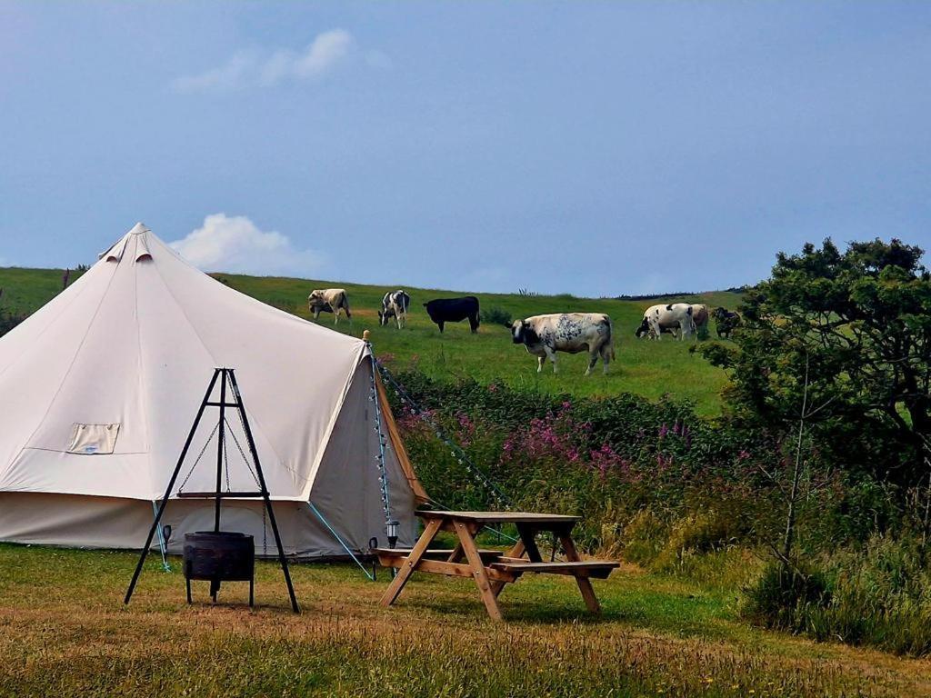 Beautiful 1-Bed Bell Tent In Holyhead Εξωτερικό φωτογραφία